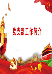 党支部工作简介