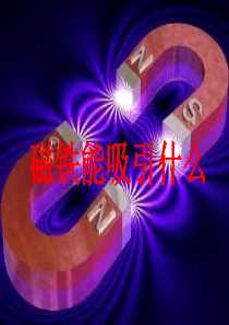 二年级下册科学第一课《磁铁能吸引什么》