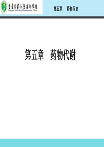 第五章_药物代谢