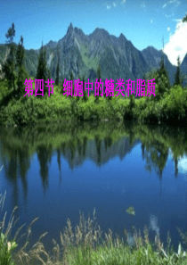生物：2.4《・细胞中的糖类和脂质》课件