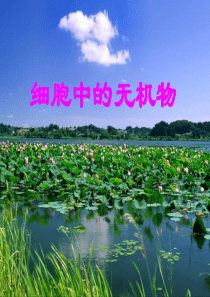 生物：2.5《细胞中的无机物》课件(2)(新人教版必修1)