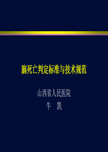 脑死亡判定标准与技术规范-2013年