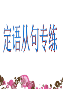 定语从句完成句子专练解析