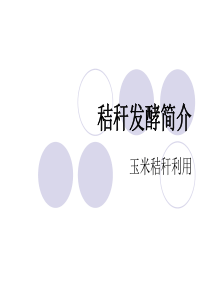 秸秆酒精简介