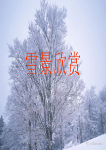 2015年写雪作文ppt