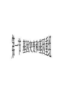 基因突变染色体变异复习课件