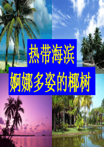 七年级地理上册_第四章第二节气温和降水课件_湘教版乔