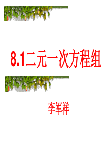 《二元一次方程组》ppt课件1