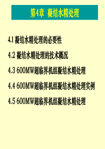 第4章-凝结水精处理