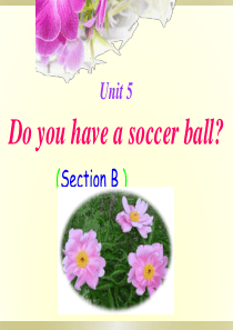 七年级英语Do you have a soccer ball课件sectionB