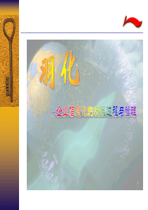 企业信息化的决策与管理