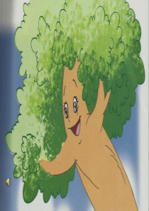 鸟的纹样