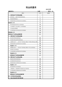 现金流量表空白模板