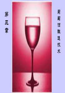 第三章葡萄酒-PowerPoint演示文稿