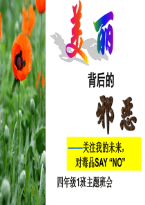 四1班禁毒反邪教主题班会