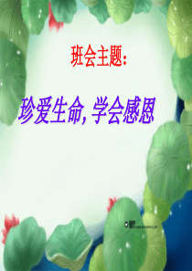 珍爱生命学会感恩ppt