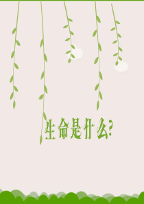 珍爱生命安全第一主题班会