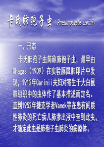 第三讲  卡氏肺孢子虫