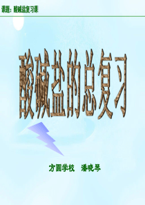 九年级化学酸碱盐复习课PPT课件修改