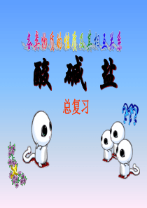 九年级化学酸碱盐总复习课件(1)