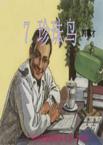 语文S版五下7.珍珠鸟(完美版)