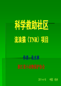 科学救助社区流浪猫