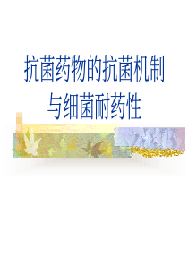 细菌耐药性与控制策略-抗菌药物的抗菌机制与细菌耐药性