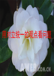 70用对立统一的观点看问题