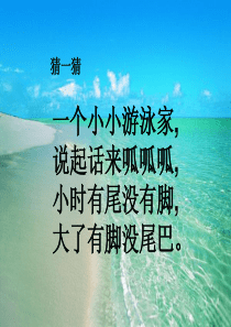 2016新版小学一年级《青蛙写诗》(优质课)