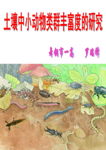 六年级分类复习课作文审题命题教学设计