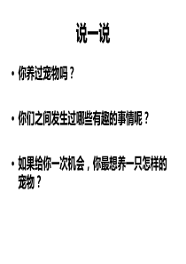 陶艺13课：动物的制作