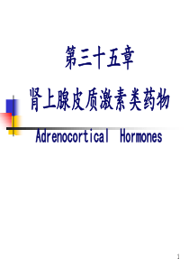 肾上腺皮质激素类药物