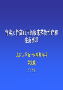 肾实质性高血压的临床用药及注意事项,XXXX8