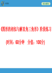 2014中考复习备战策略 数学PPT《图形的相似与解直角三角形》阶段练习