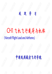 飞机飞行载荷与过载1-1