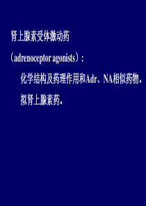 肾上腺素激动药
