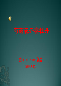 芍药花开赛牡丹