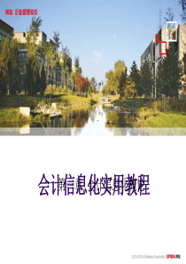 会计信息化实用教程(用友T3会计信息化专版)-第一章-会计信息化概论