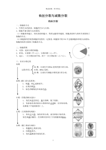 高中有丝分裂与减数分裂总结