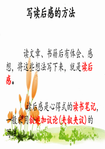 读后感钓鱼的启示2013