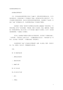 加加酱油品牌策划书
