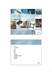 自泳漆工艺技术详细说明书