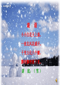 雪地里的小画家ppt