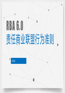 最新版RBA 6.0培训教材