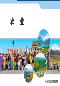 人教版初二地理《农业》ppt课件