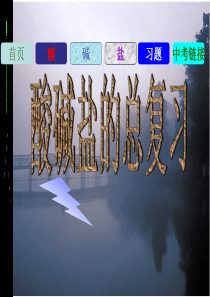 酸碱盐总复习