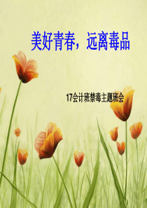 “美好青春,远离毒品”主题班会ppt