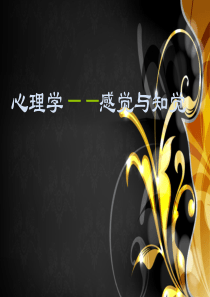 心理学-感觉与知觉