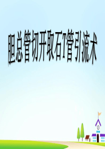 32胆总管切开取石T管引流术