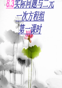 新人教版实际问题与二元一次方程组